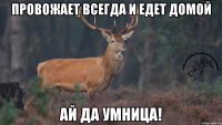 Провожает всегда и едет домой ай да умница!