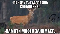 -Почему ты удаляешь сообщения? -Памяти много занимает..