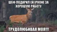 Шеф подарил ей Iphone за Хорошую работу Трудолюбивая моя!!!