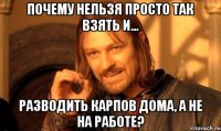 Почему нельзя просто так взять и... разводить карпов дома, а не на работе?