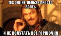 TES Online: нельзя просто взять и не полутать все горшочки