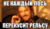 Не каждый лось перекусит рельсу