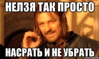Нелзя так просто Насрать и не убрать