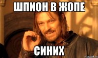 шпион в жопе синих