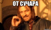 от сучара 