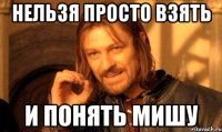 Нельзя просто взять и понять Мишу