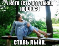 У кого есть вот такая кошка?! Ставь лыйк.