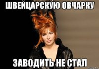 швейцарскую овчарку заводить не стал