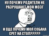 Ну почему родители не разрушают мой мозг И еще почему моя собака срет на стол?????