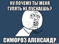 ну почему ты меня гулять не пускаешь? Симороз Александр