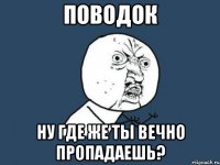 поводок ну где же ты вечно пропадаешь?