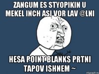 ZANGUM ES STYOPIKIN U MEKEL INCH ASI VOR LAV @LNI HESA Point BlankS PRTNI TAPOV ISHNEM ~