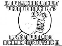 Ну почему иногда пишут "Школоте не понять "? Я учусь в шкле , но я понимаю что это такое !!!