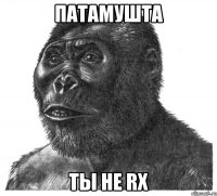 ПАТАМУШТА ТЫ НЕ RX