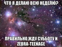 Что я делаю всю неделю? Правильно,жду субботу и Zebra-TeenAge