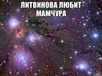 Литвинова любит Мамчура 