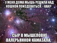 - У меня дома мышь решила над кошкой поиздеваться. - Как? - Сыр в мышеловке валерьянкой намазала.