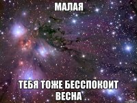 МАЛАЯ ТЕБЯ ТОЖЕ БЕССПОКОИТ ВЕСНА