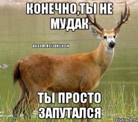 конечно,ты не мудак ты просто запутался