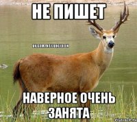 Не пишет Наверное очень занята