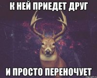 К ней приедет друг И просто переночует