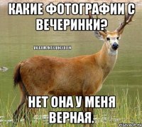 Какие фотографии с вечеринки? Нет она у меня верная.