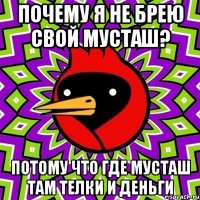 Почему я не брею свой мусташ? Потому что где мусташ там телки и деньги