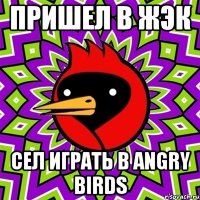 Пришел в ЖЭК Сел играть в Angry birds