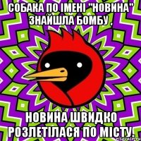 Собака по імені "Новина" знайшла бомбу , Новина швидко розлетілася по місту.