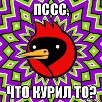 Пссс, Что курил то?