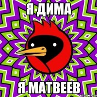 я дима я матвеев