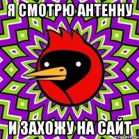я смотрю антенну и захожу на сайт
