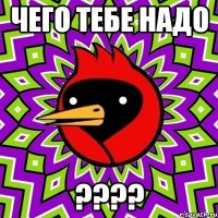 Чего тебе надо ????