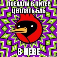 ПОЕХАЛИ В ПИТЕР ЦЕПЛЯТЬ БАБ В НЕВЕ