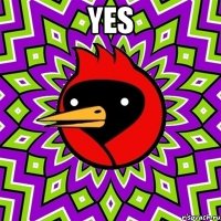 yes 