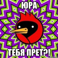 юра тебя прет?!