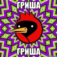 ГРИША ГРИША