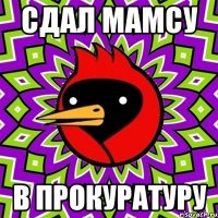 Сдал Мамсу В прокуратуру