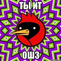 ты ит ошз