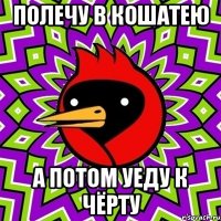 полечу в кошатею а потом уеду к чёрту