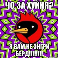 ЧО ЗА ХУЙНЯ? Я ВАМ НЕ ЭНГРИ БЕРД!!!!!!!!