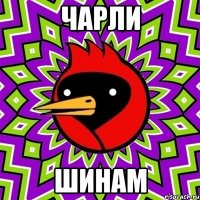 Чарли Шинам