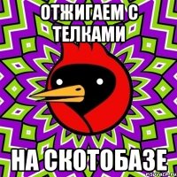 Отжигаем с телками на скотобазе