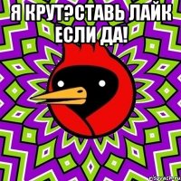 Я крут?Ставь лайк если да! 