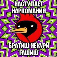 Насту пает наркомания Братиш некури гашиш