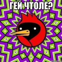 гей чтоле? 