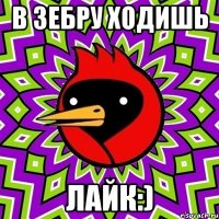 В зебру ходишь лайк:)