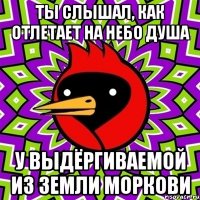 ты слышал, как отлетает на небо душа у выдёргиваемой из земли моркови