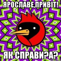 Ярославе,привіт! Як справи?А?