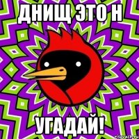 Днищ это н Угадай!